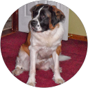 Mirtha Lane profile picture